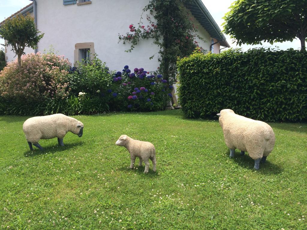 Les Volets Bleus Bed and Breakfast Arcangues Eksteriør billede