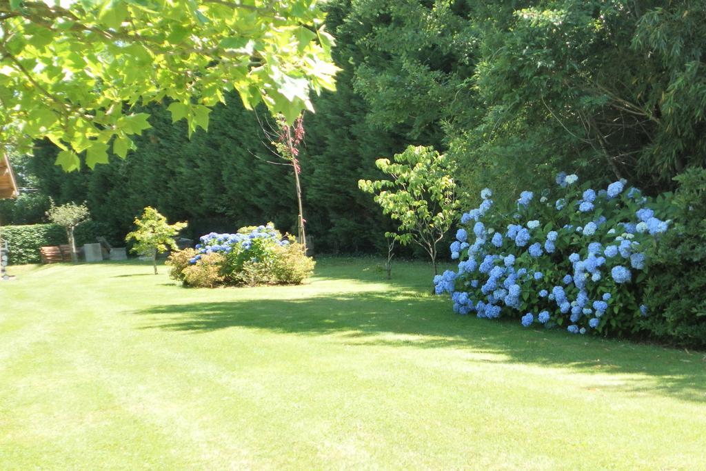 Les Volets Bleus Bed and Breakfast Arcangues Eksteriør billede